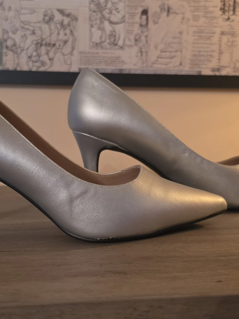 Ashro Metallic Silver Pointed-Toe Pumps